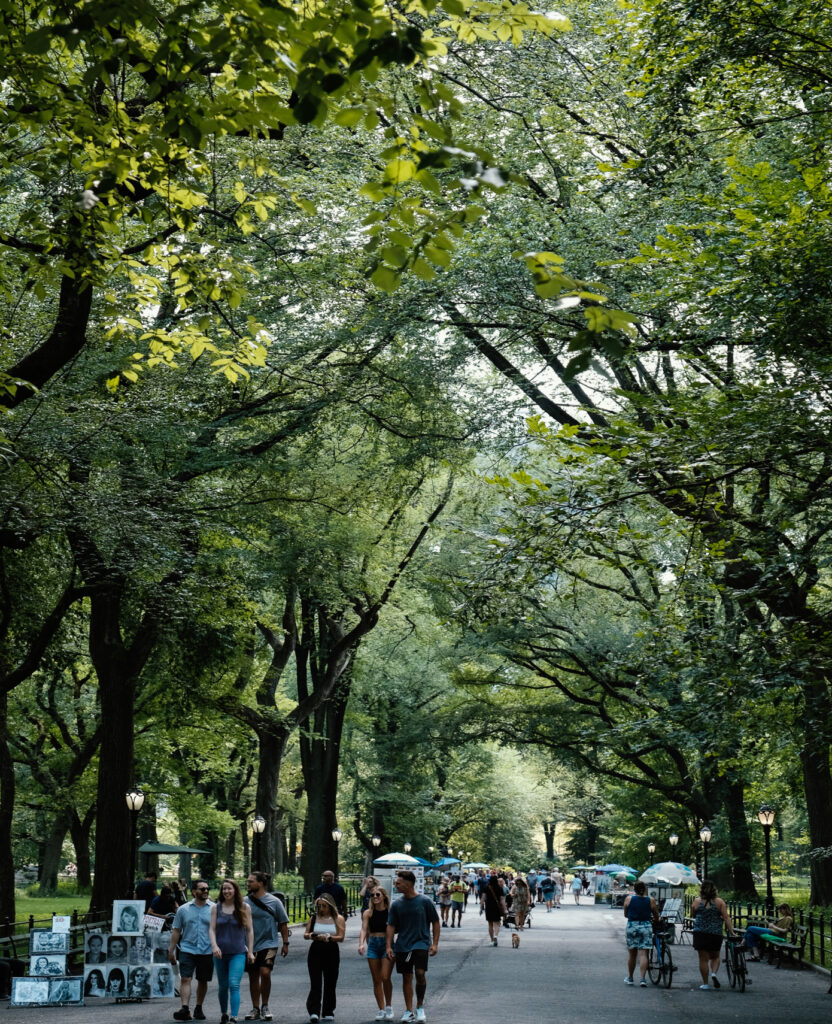 Central Park Upper West Side